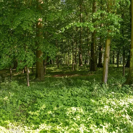 Sirkku - 320m From The Sea By Interhome 度假居 *